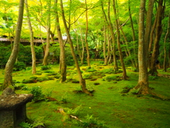 祇王寺