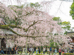 醍醐寺