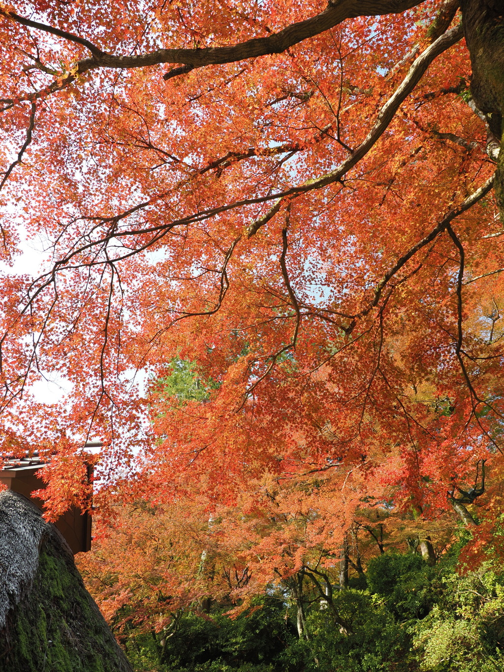 大興善寺