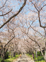 円応寺