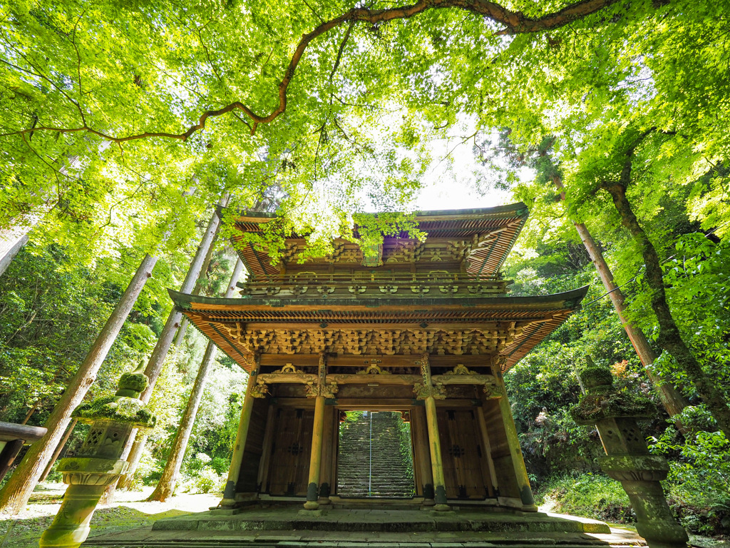 福岡の清水寺の桜門