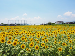 ひょうたん島公園
