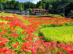 江里山棚田