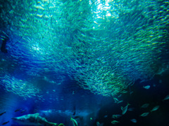 海の中道マリンワールド