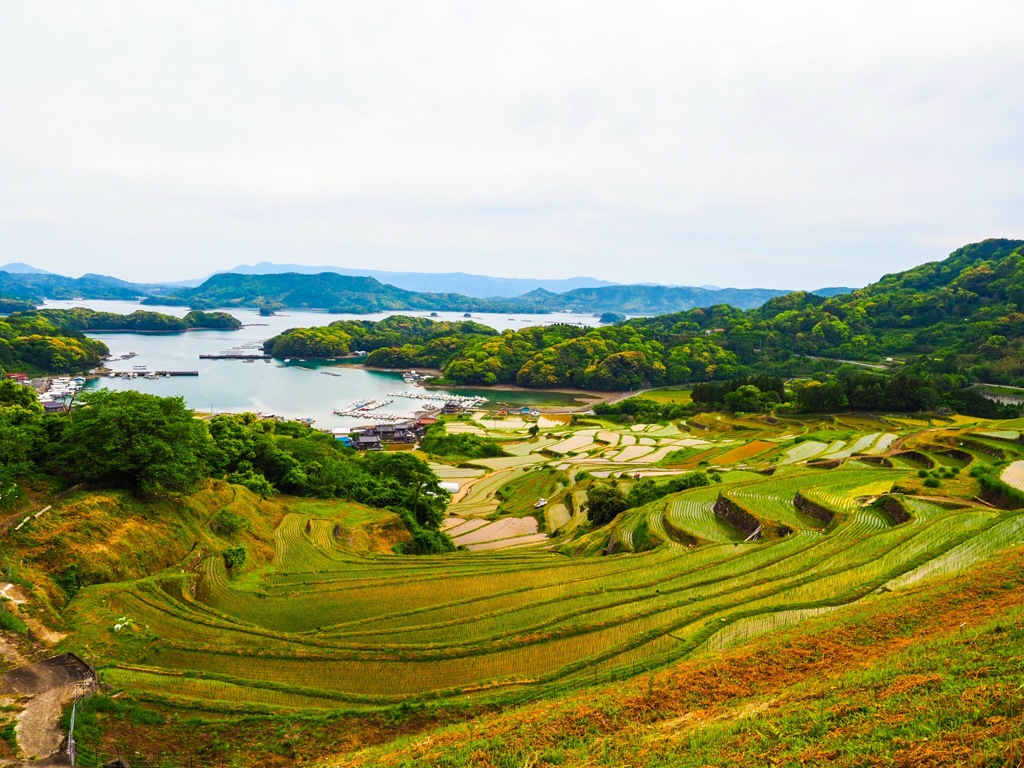 松浦の棚田