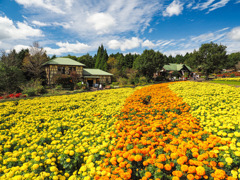 くじゅう花公園