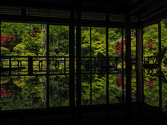 環境芸術の森