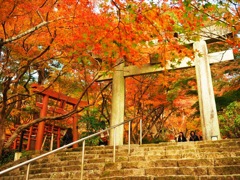 竈門神社