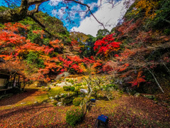 990D4F99-6D0F-480A-88F0-59CA67EFCE25