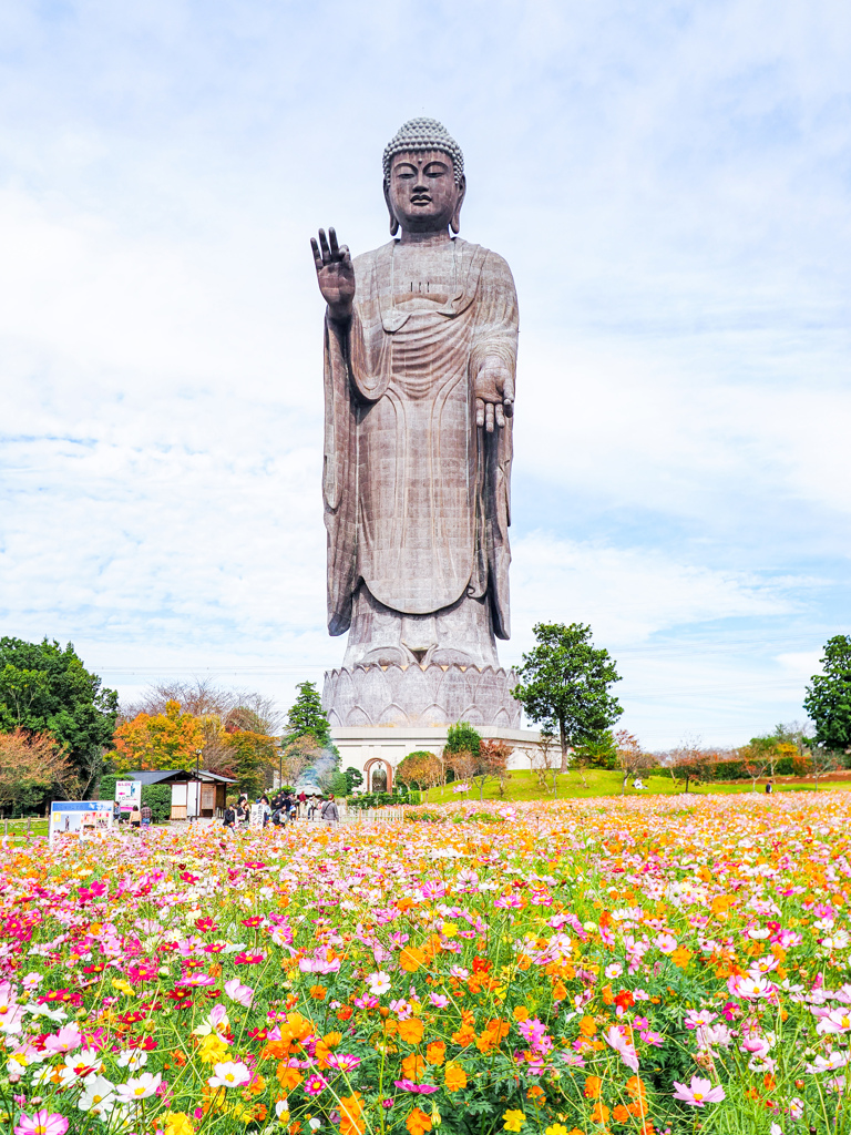 牛久大仏