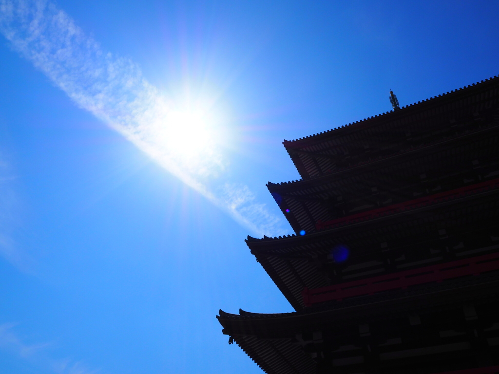 蓮華院誕生寺奥の院