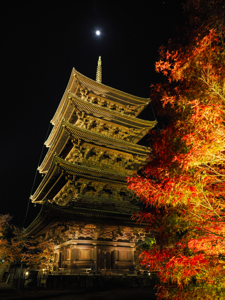 東寺ライトアップ