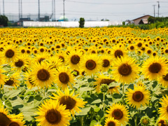 ひょうたん島公園