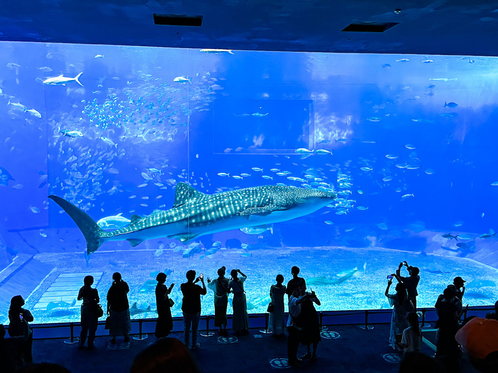 美ら海水族館