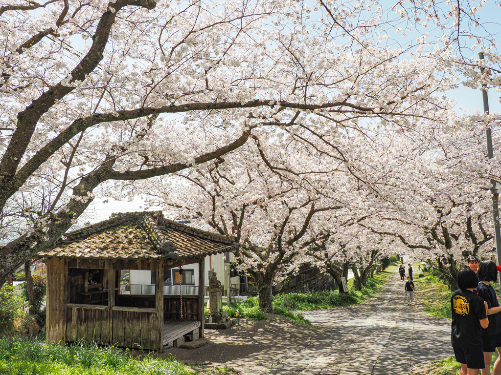 円応寺