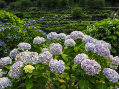 中木庭ダム