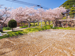 円応寺