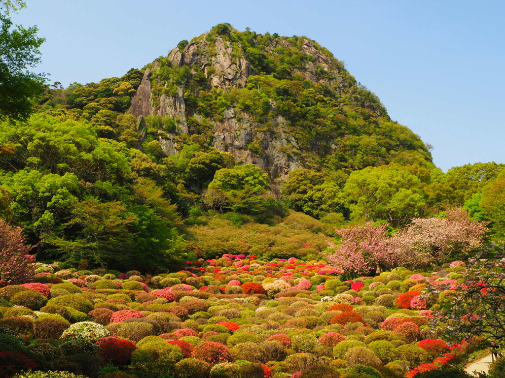 御船山のつつじ