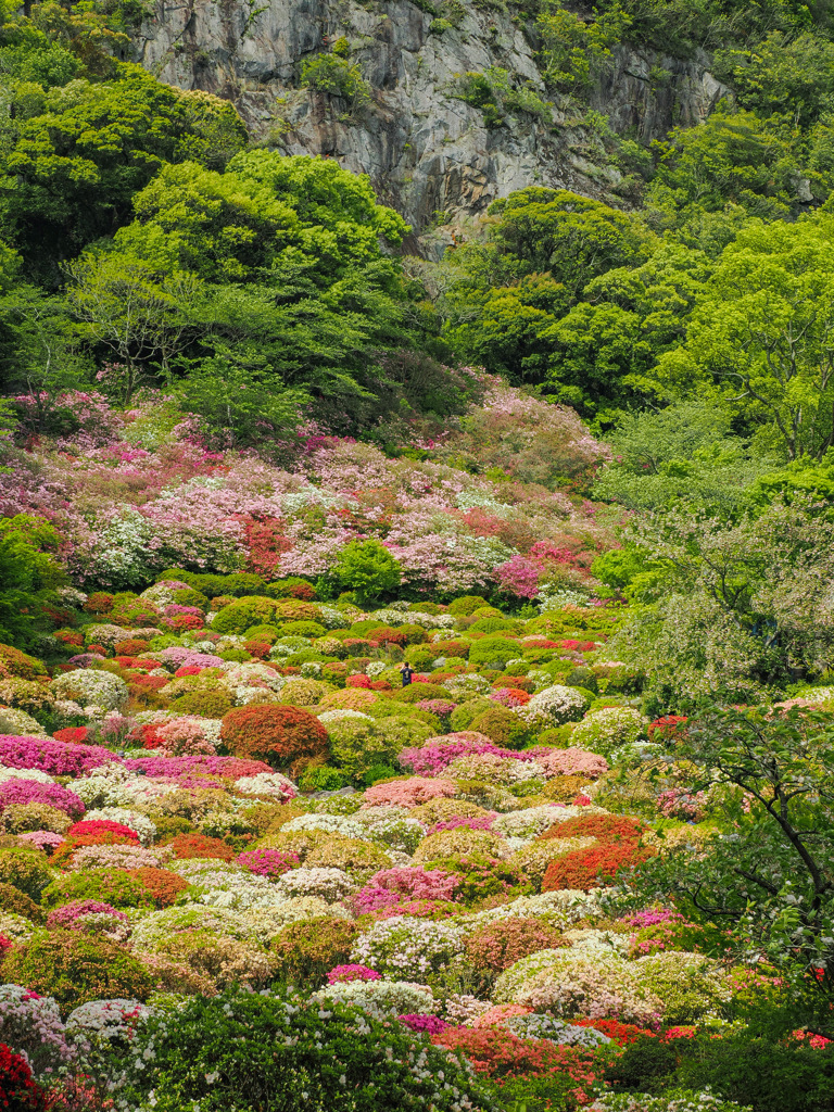 御船山楽園