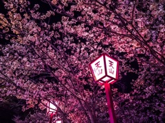 小城公園
