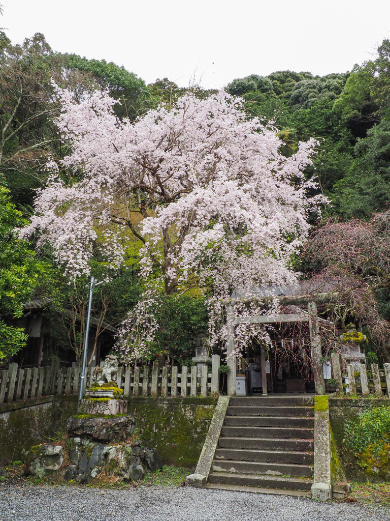 大豊神社