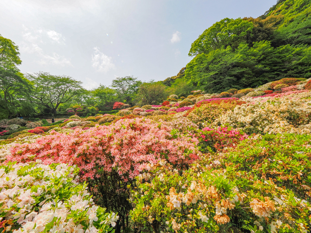 御船山楽園