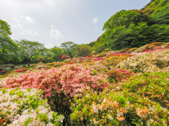 御船山楽園