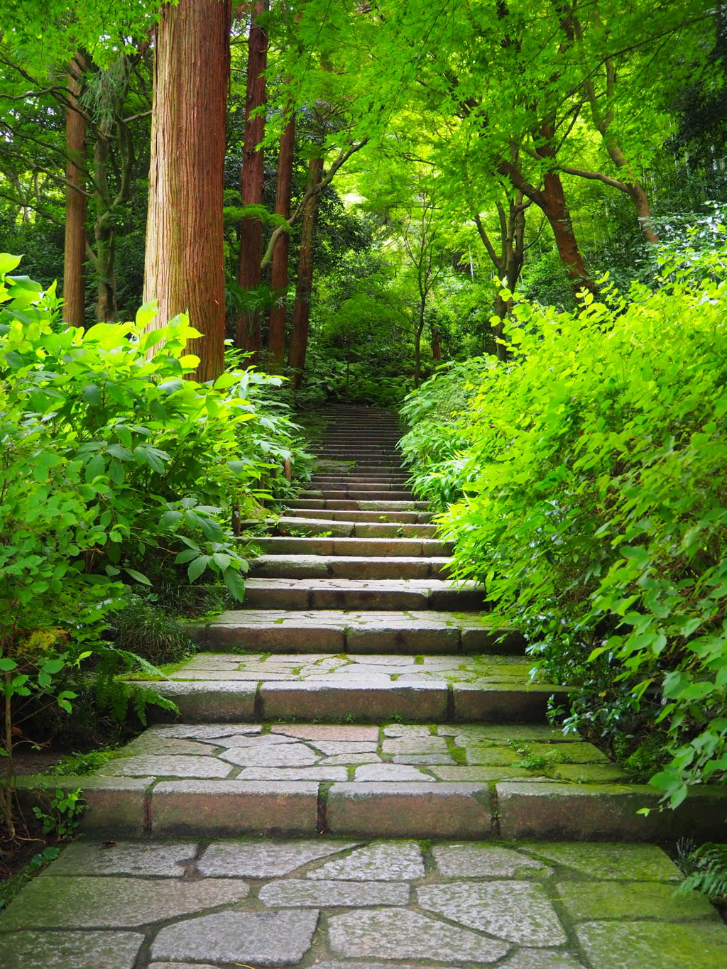 瑞泉寺の階段