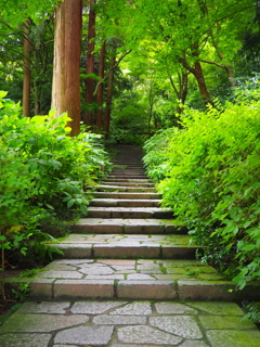 瑞泉寺の階段