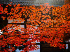 東福寺