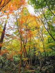 環境芸術の森