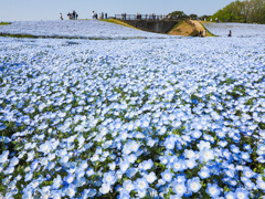海の中道海浜公園