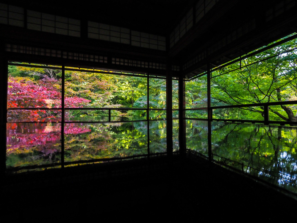 瑠璃光院