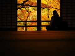 光明禅寺
