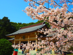 光雲神社