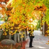 大興禅寺