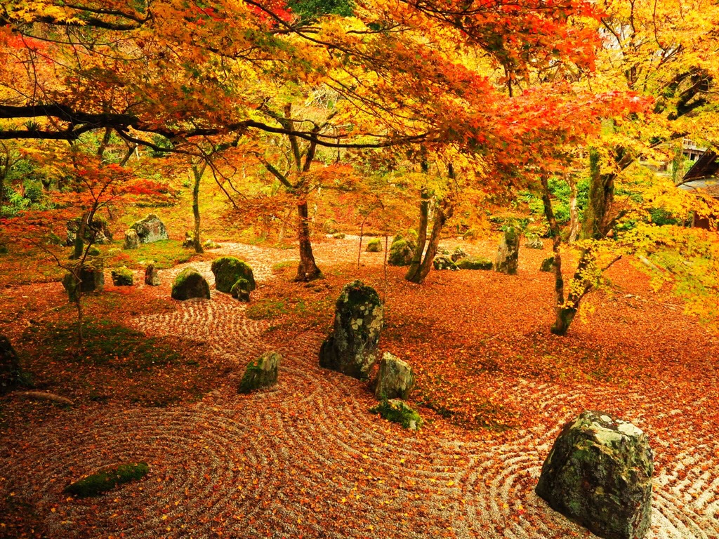 光明禅寺