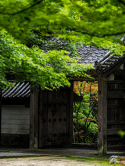 西明寺