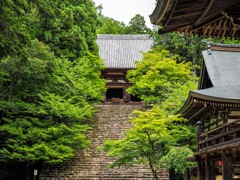 神護寺