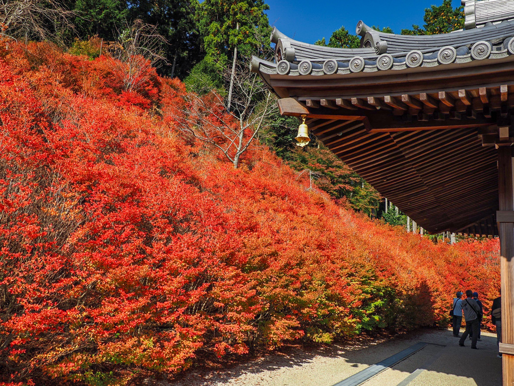 呑山観音寺