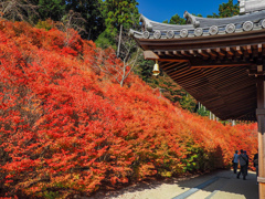 呑山観音寺