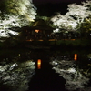御船山楽園