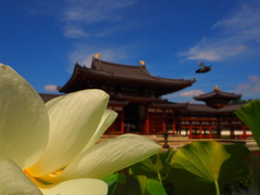 平等院