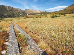 弥陀ヶ原湿原
