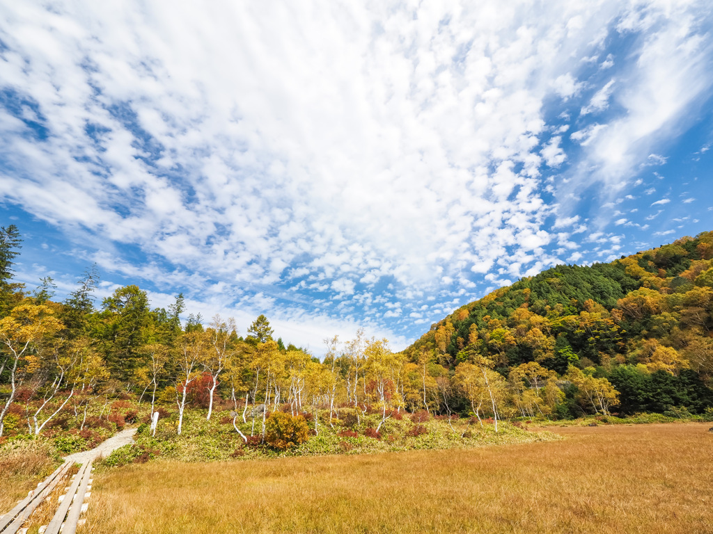 志賀高原　田ノ原湿原