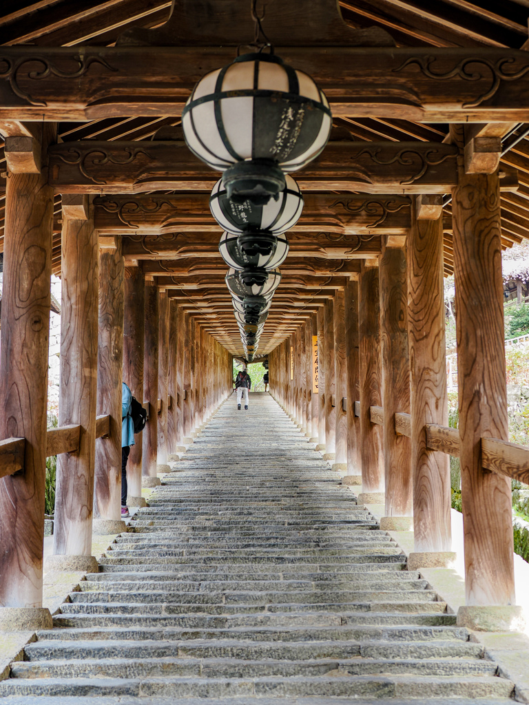 長谷寺