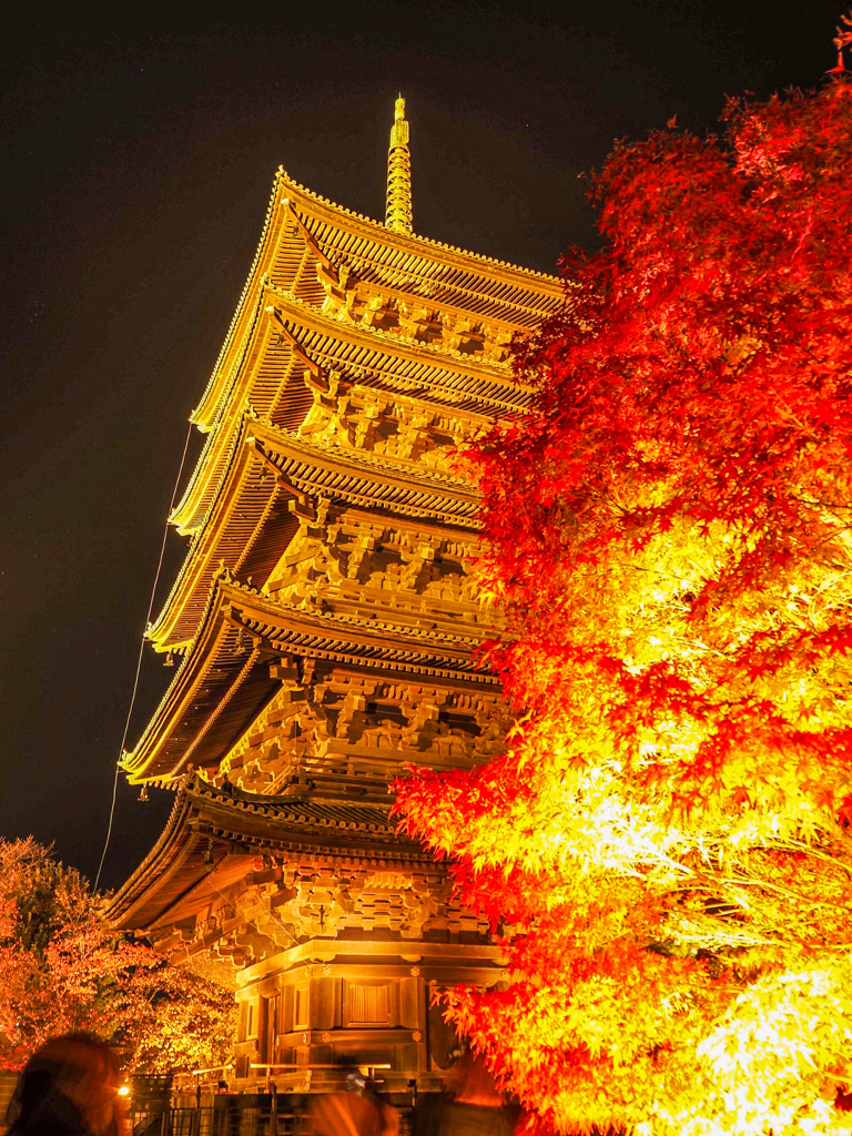 東寺ライトアップ