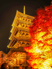 東寺ライトアップ