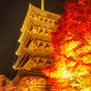 東寺ライトアップ