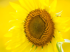 ひょうたん島公園